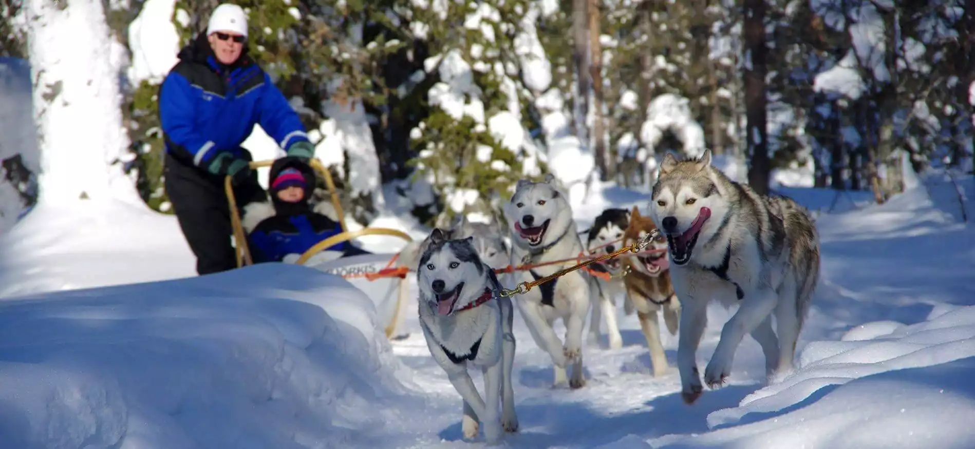 Veelgestelde vragen Lapland.be