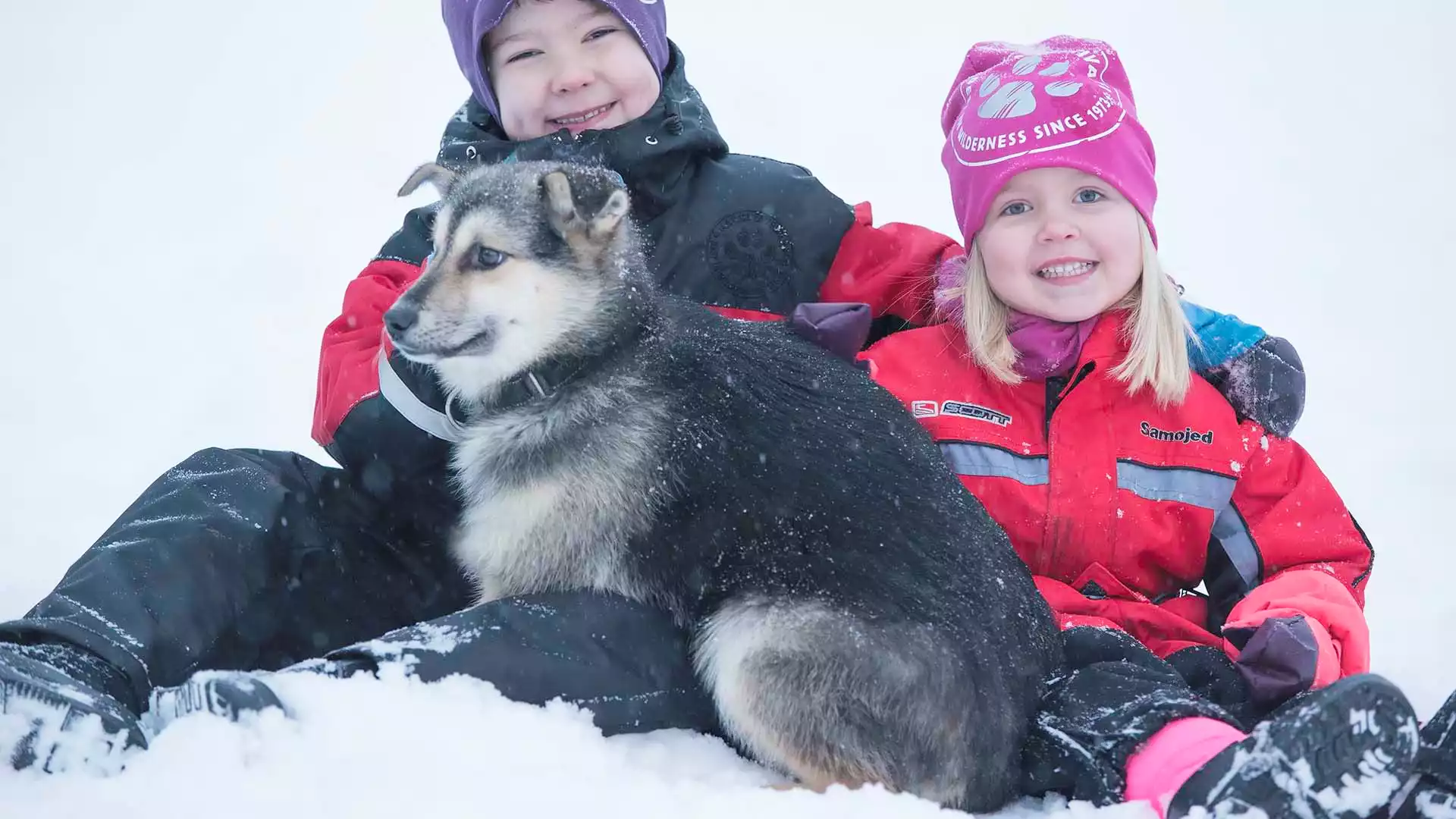 Huskysafari en diner bij open vuur