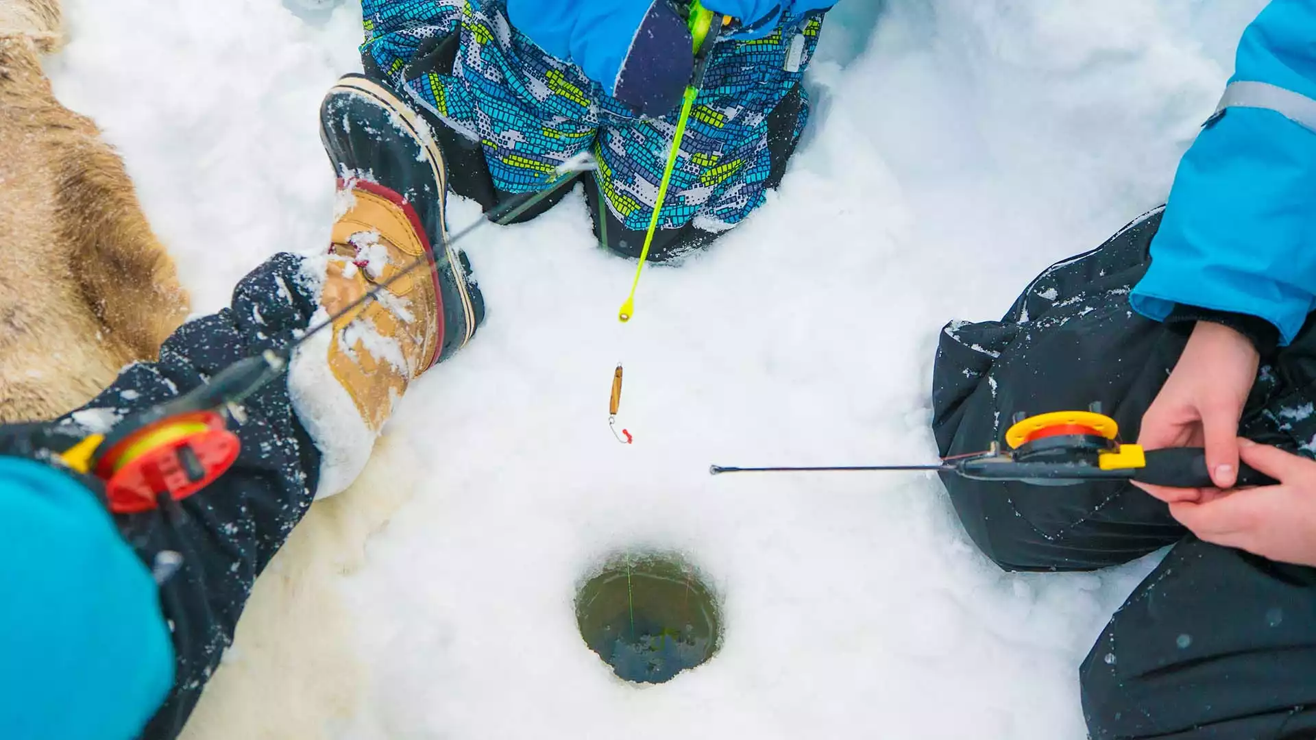 Sneeuwschoenwandelen door het nationaal park en ijsvissen