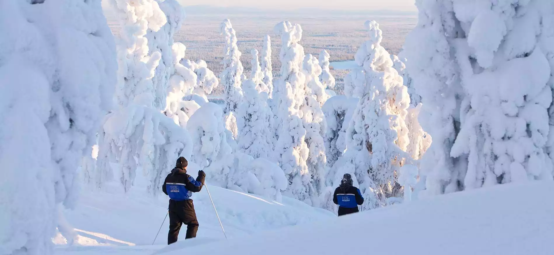 Sneeuwschoenwandeling in Pyhä-Luosto NP