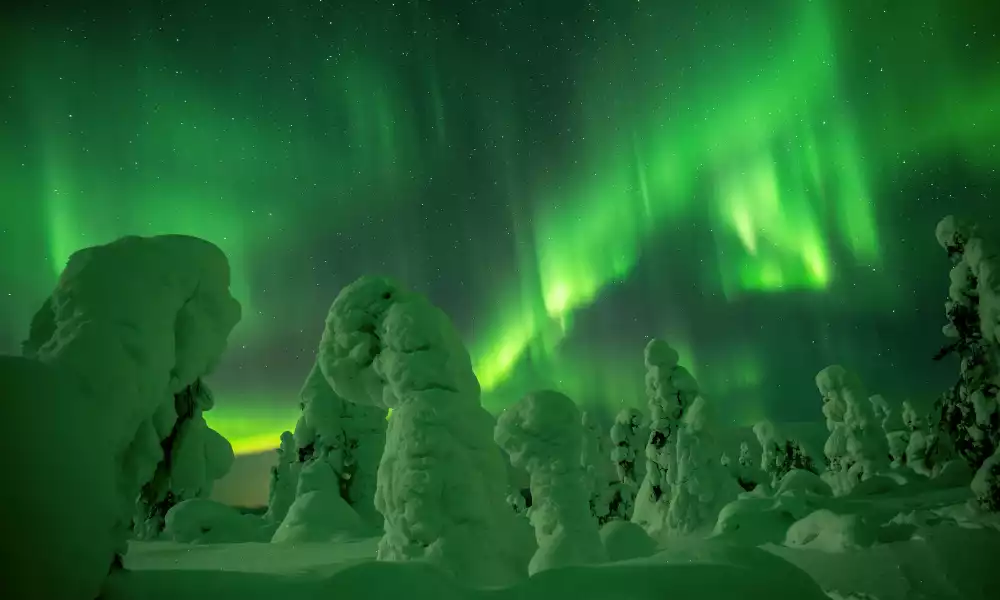 Tot ziens Lapland!