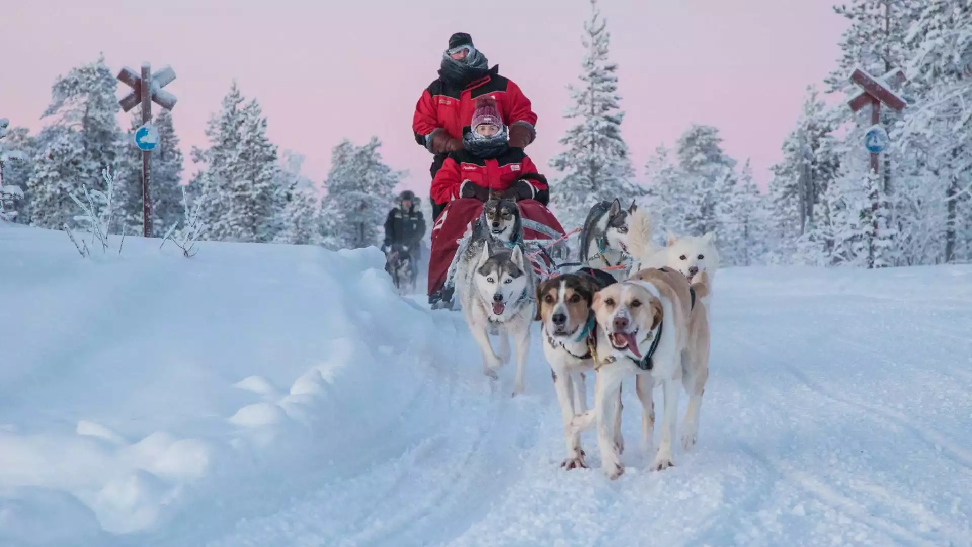 Nog een heerlijke dag met de husky's