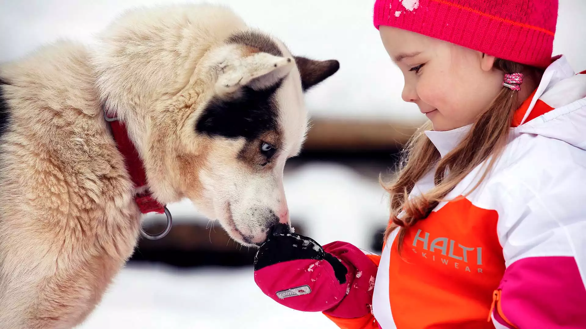 Bezoek aan huskyfarm en mooie tocht