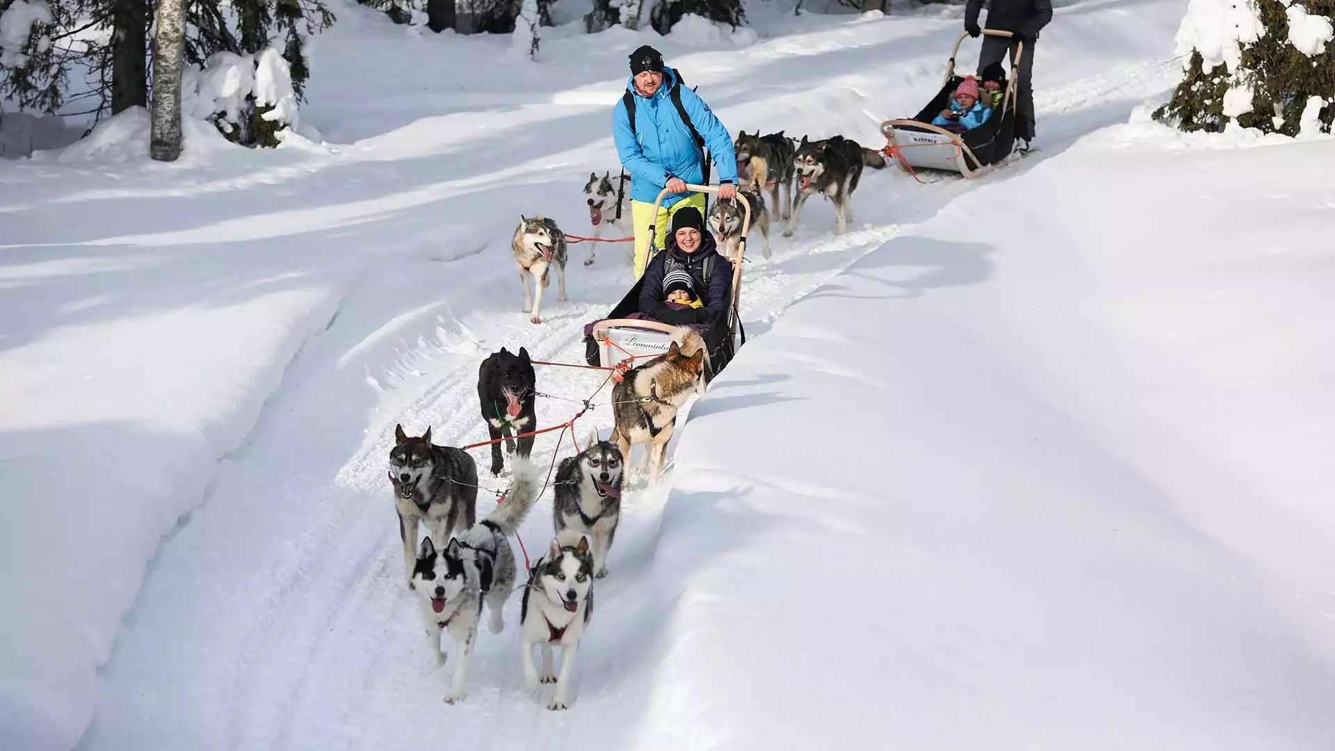 Op pad met de husky's