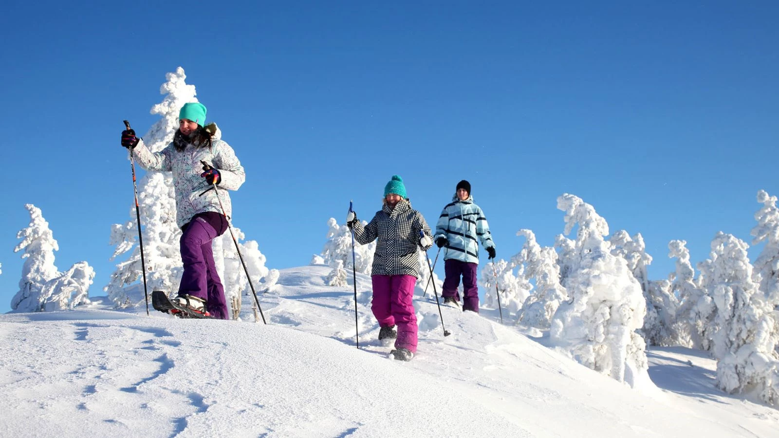 Sneeuwschoenwandelen in de natuur