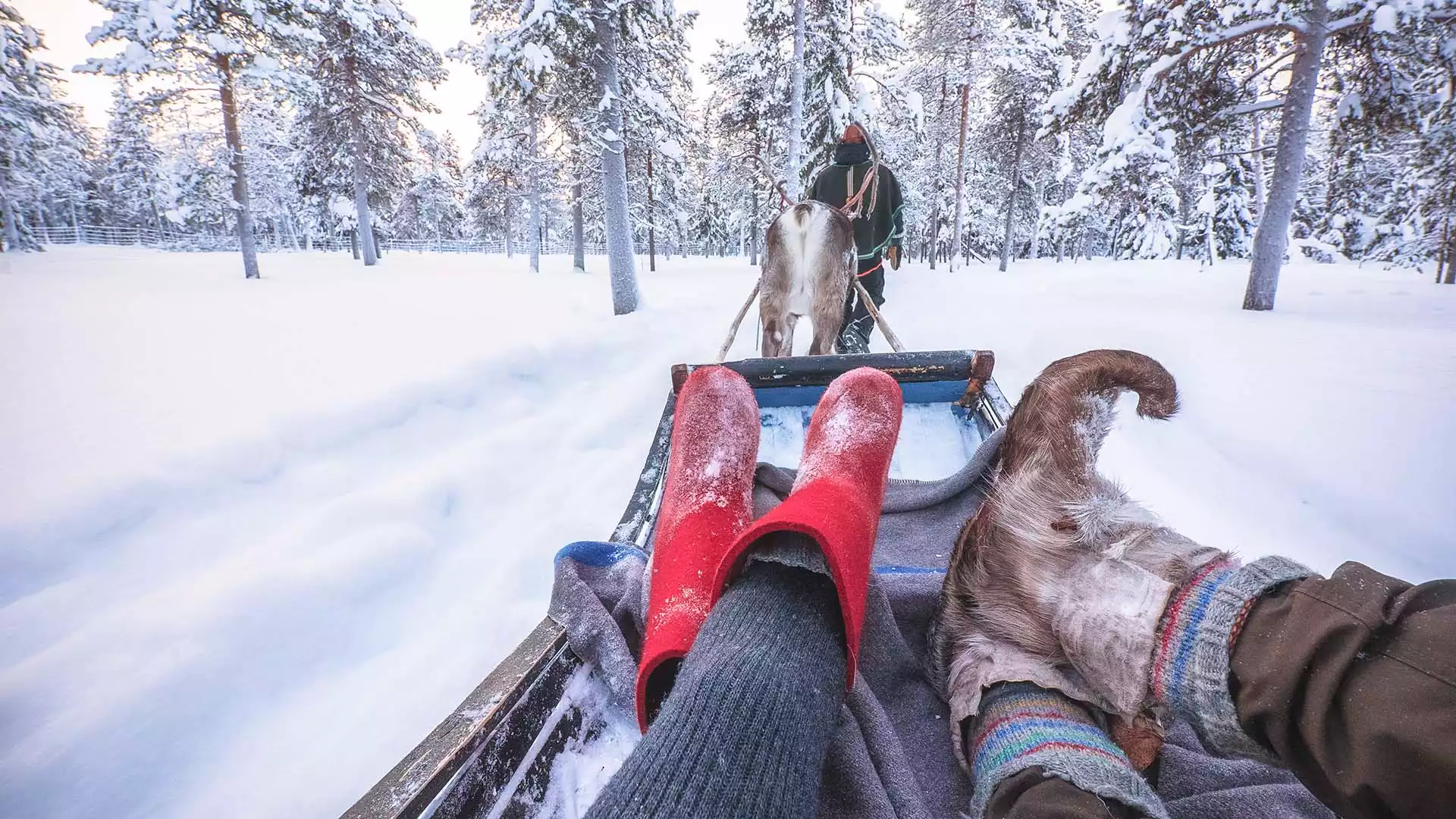 Bezoek aan de rendierfarm en Aurora Snow Shuttle