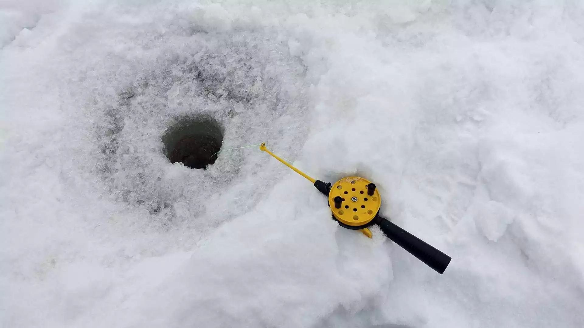 IJsvissen op de Botnische Golf