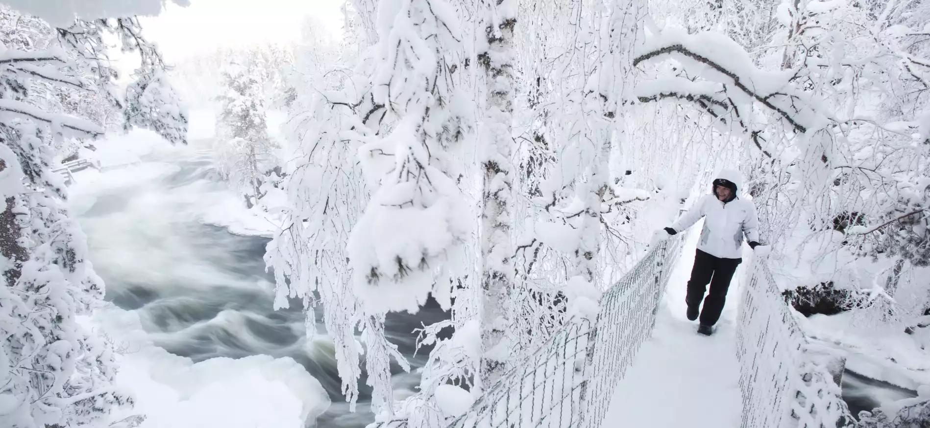 Dagtocht naar Oulanka Nationaal Park