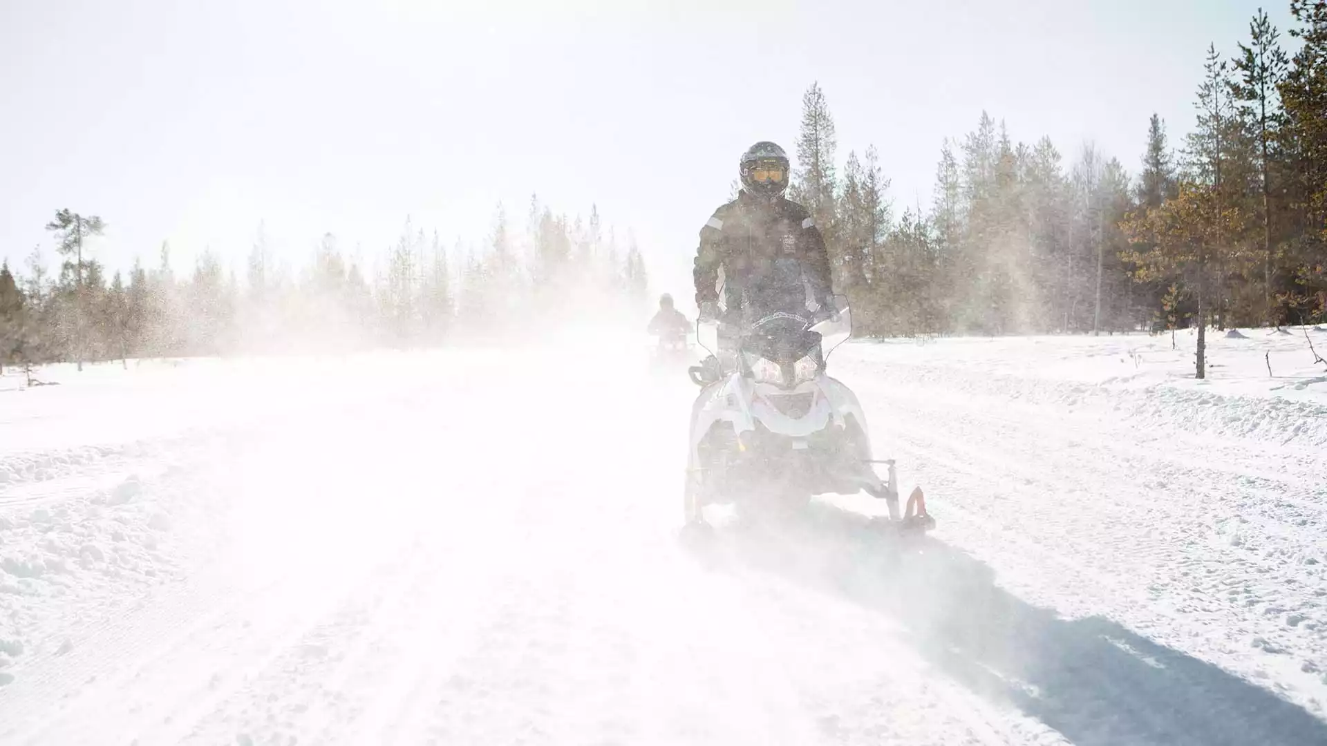 Sneeuwscootersafari naar de wildernis