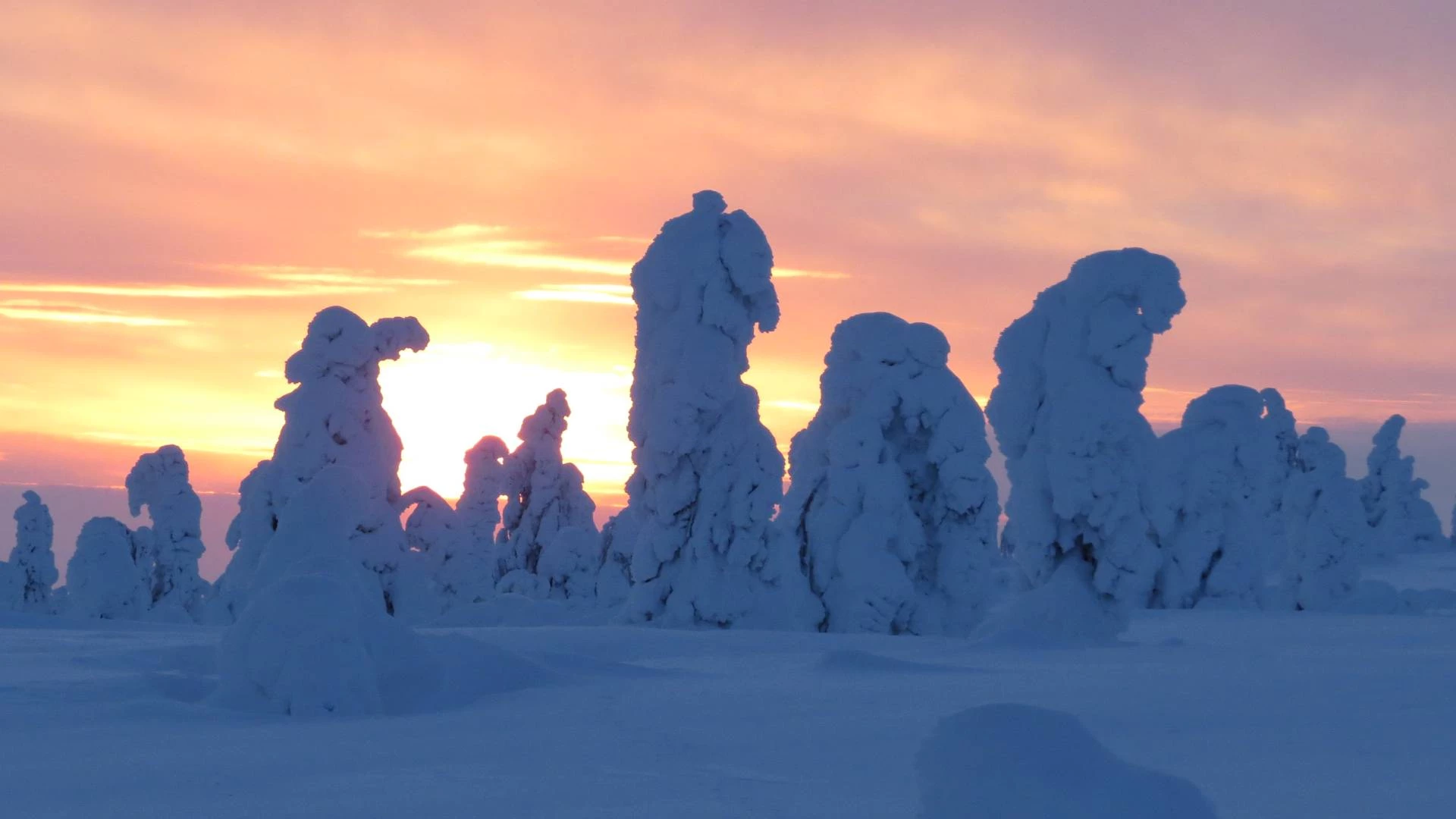 Vrije dag en noorderlichtjagen op sneeuwschoenen