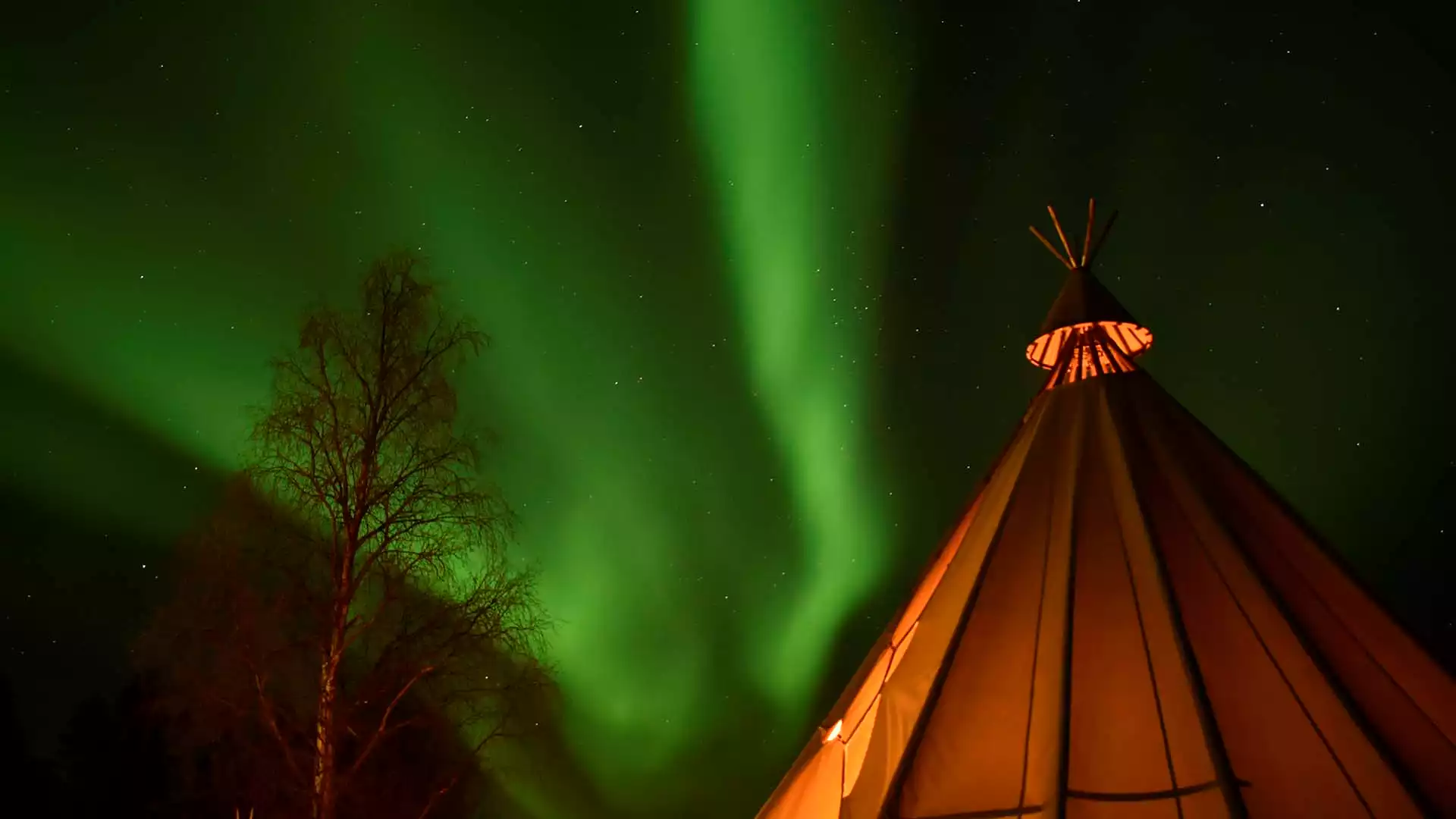 Op zoek naar het noorderlicht met husky’s