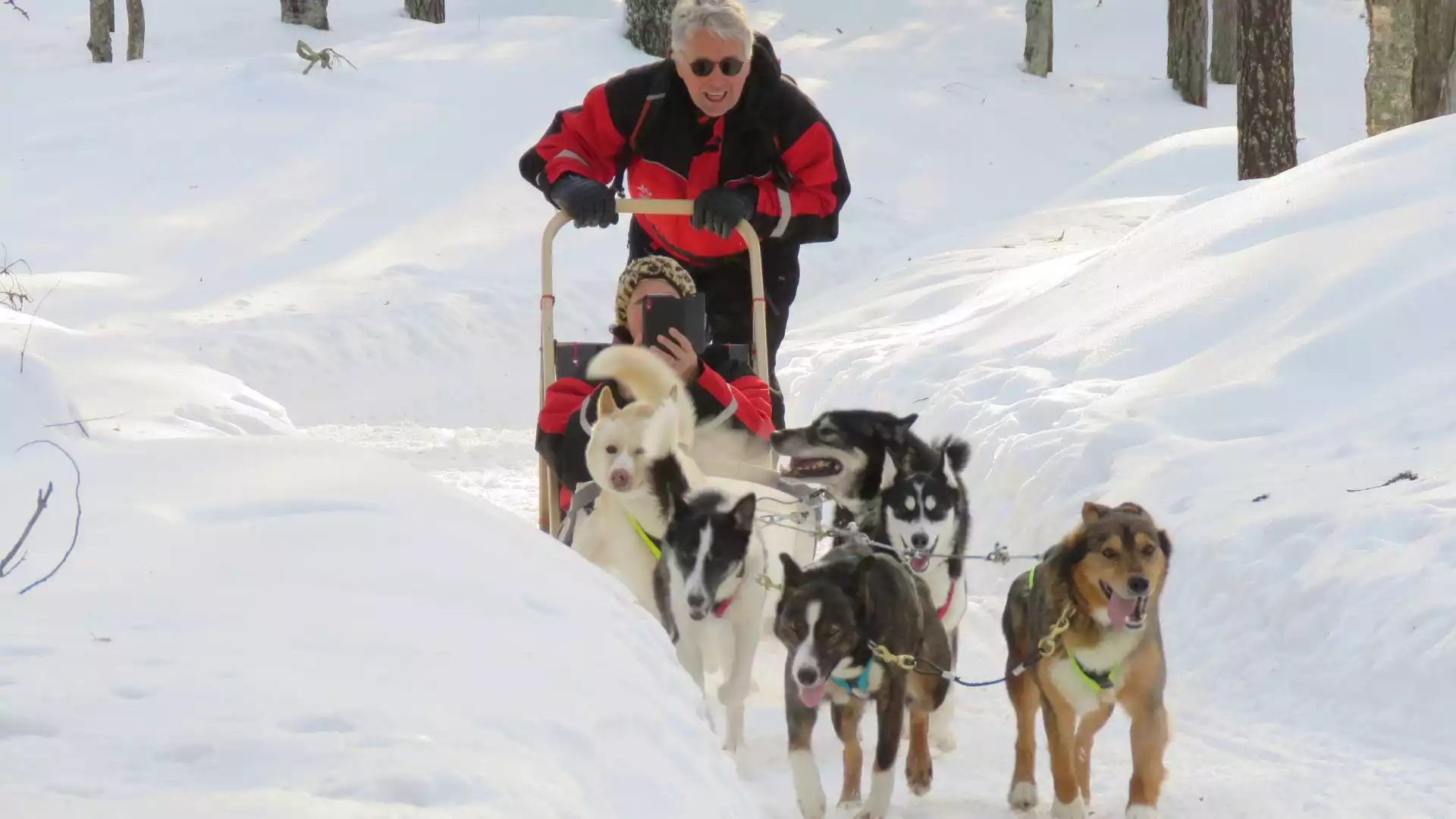 Met husky's door de bossen van Luosto