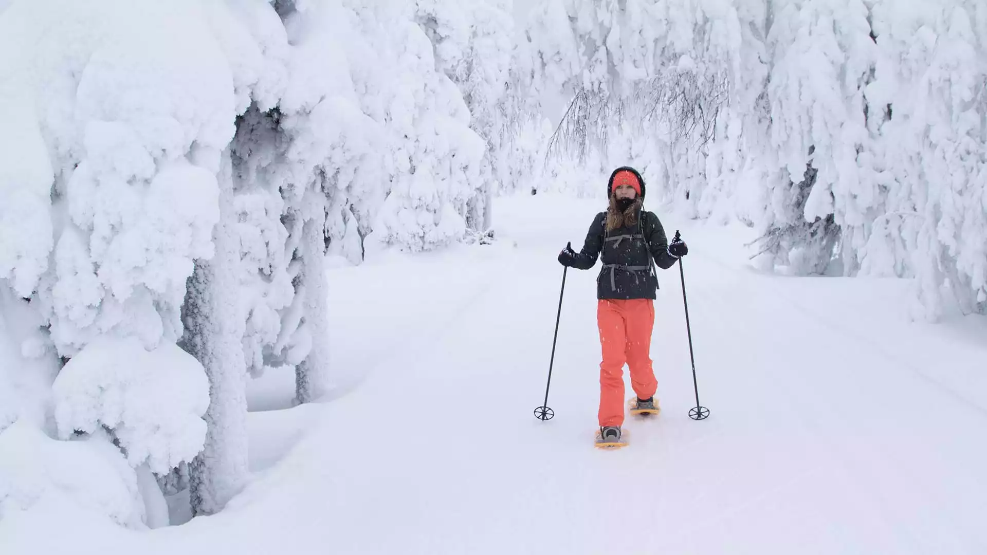 De natuur in op sneeuwschoenen