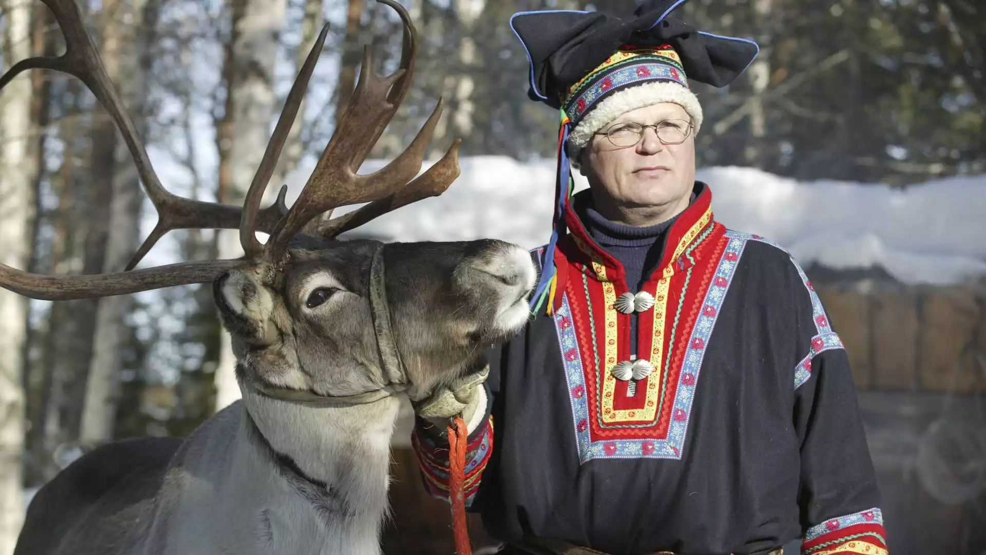 Rendieren ontmoeten en de Sami cultuur ontdekken