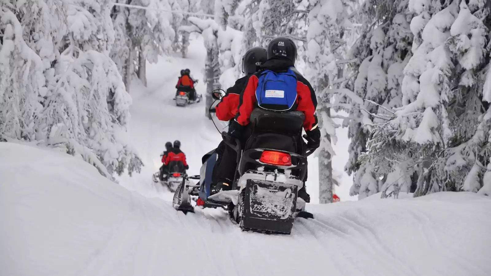 Husky’s en sneeuwscooters