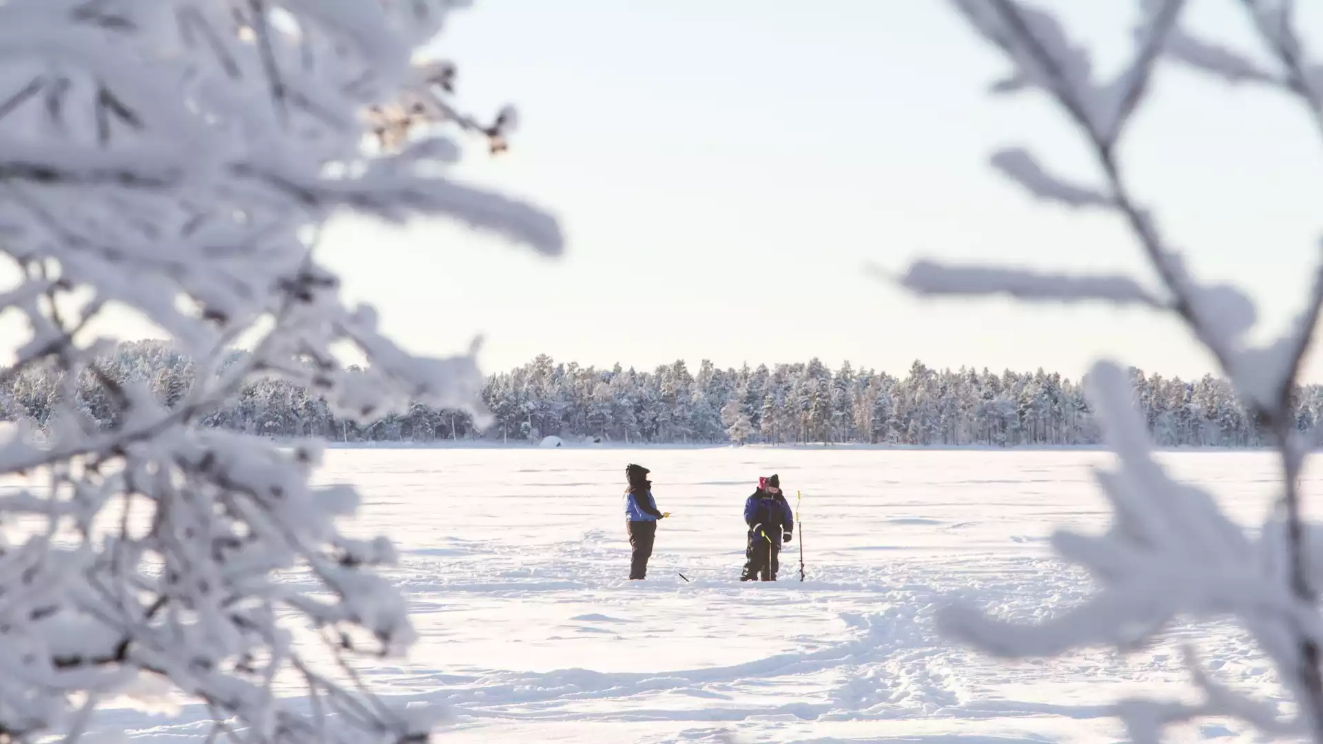 IJsvissen op het Pyhä-meer