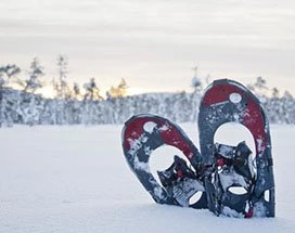 akaslompolo-sneeuwschoensafari