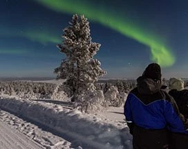 saariselka-rendiersledes-noorderlicht-extra