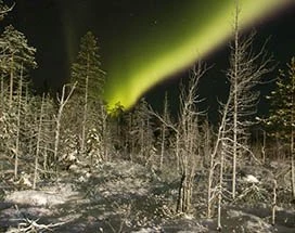 saariselka-noorderlicht-slee-sneeuwscooter