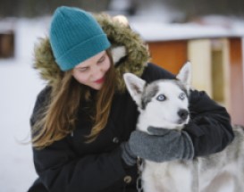 huskytocht-natuurliefhebbers-arctic-circle