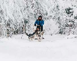 apukka-husky-avontuur