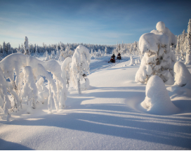 sneeuwscootersafari-ruka