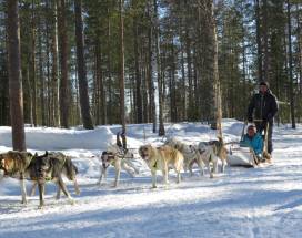 luosto-op-avontuur-met-de-huskys