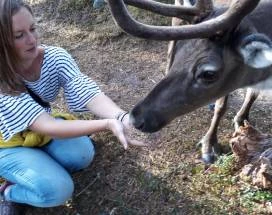 saariselka-excursie-rendierfarm