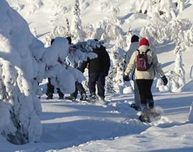 iso-syote-2-in-1-sneeuwschoenwandelen