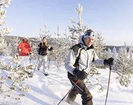 levi-sneeuwschoenwandeling-rond-levi