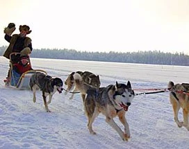 ruka-husky-express