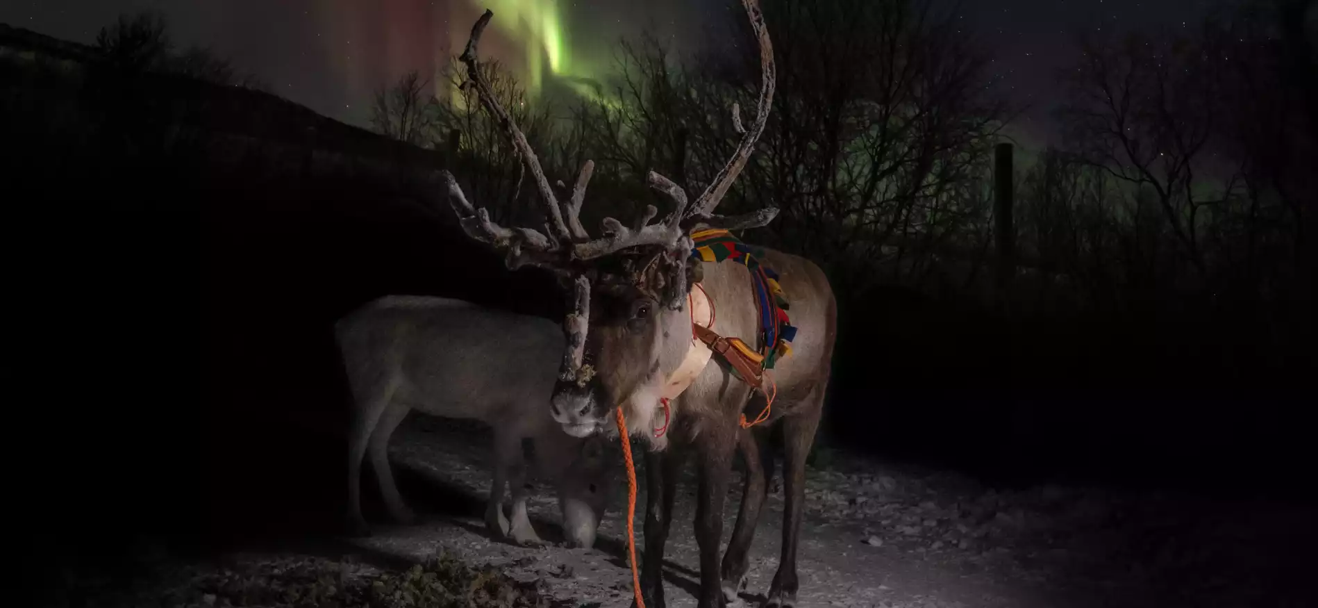 Sneeuwavontuur Aanaar