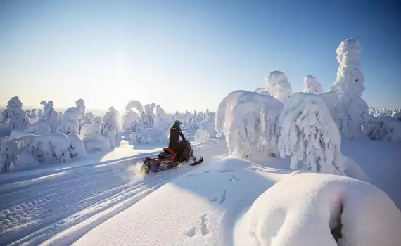 Weekend Ruka Trek
