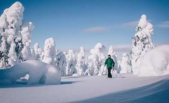 Sneeuwavontuur Aino Private Island