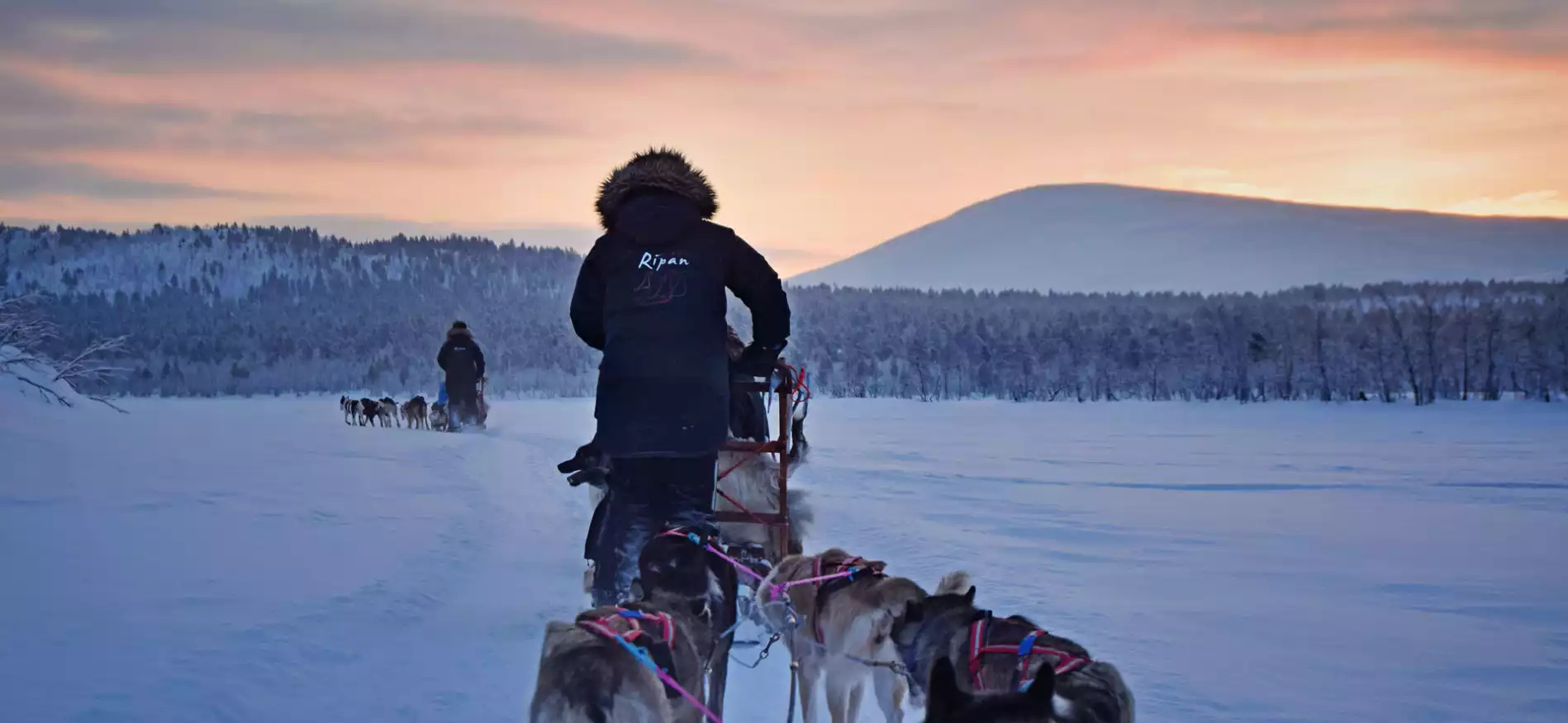 Sneeuwavontuur Kiruna