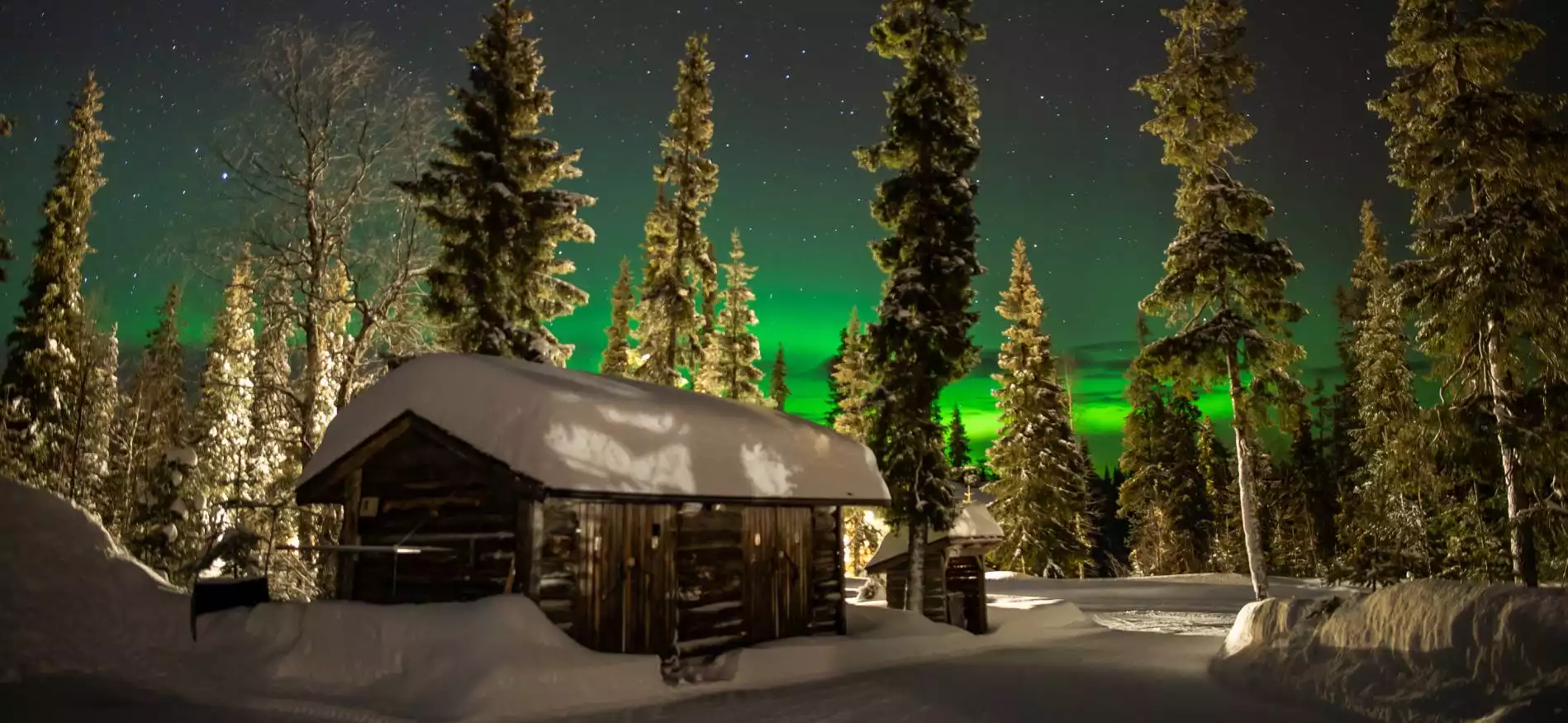 Noorderlichtevent Lapland "krokus"