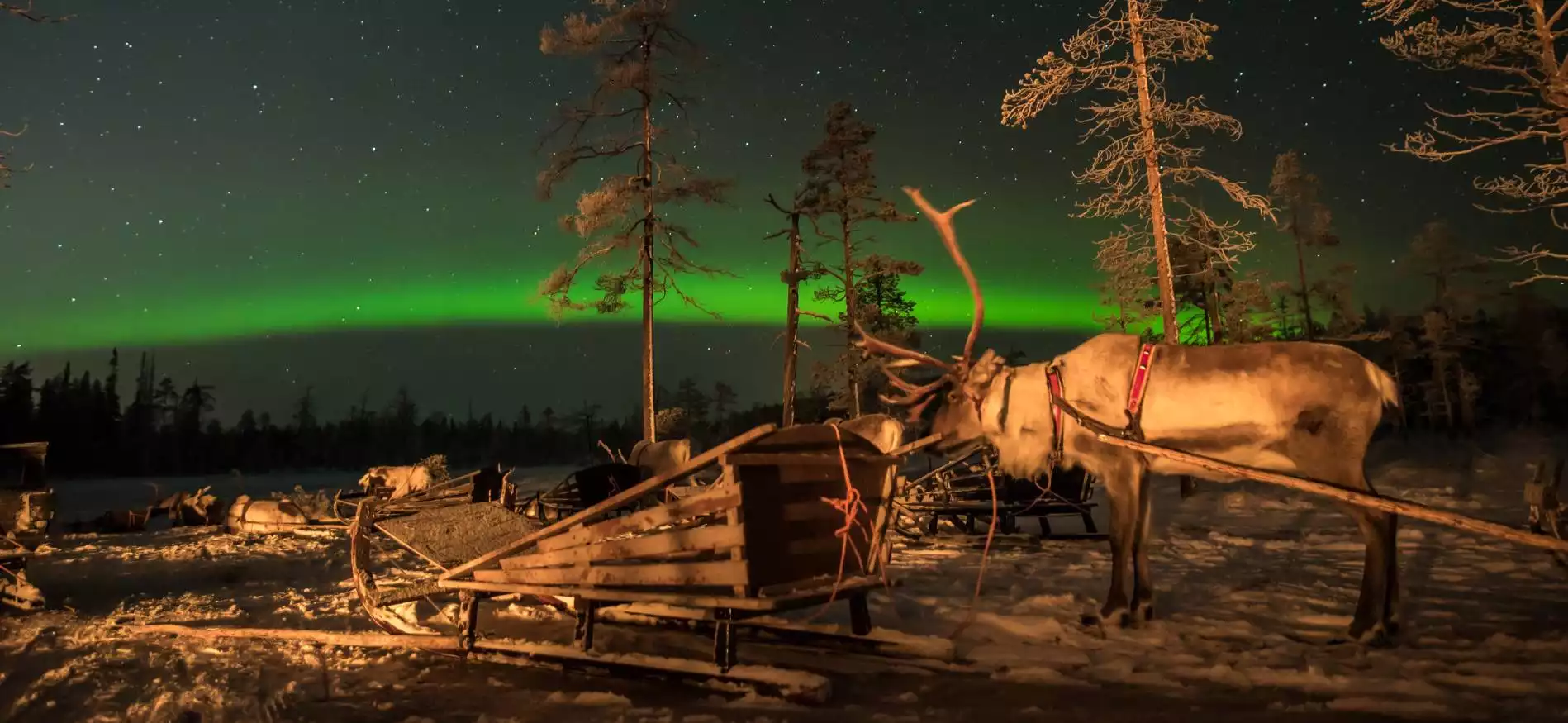 Noorderlichtreis Golden Circle Lapland