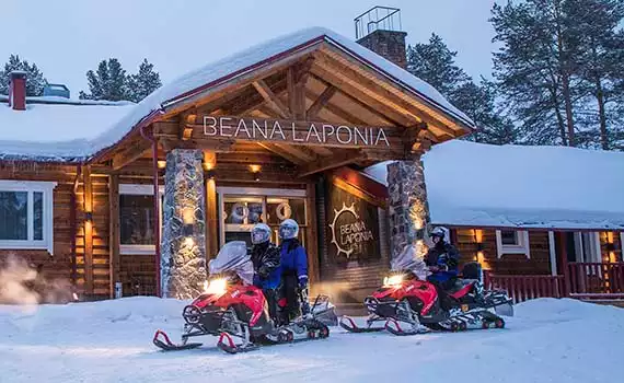 Beana Laponia