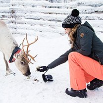 annemarie-h-lapland
