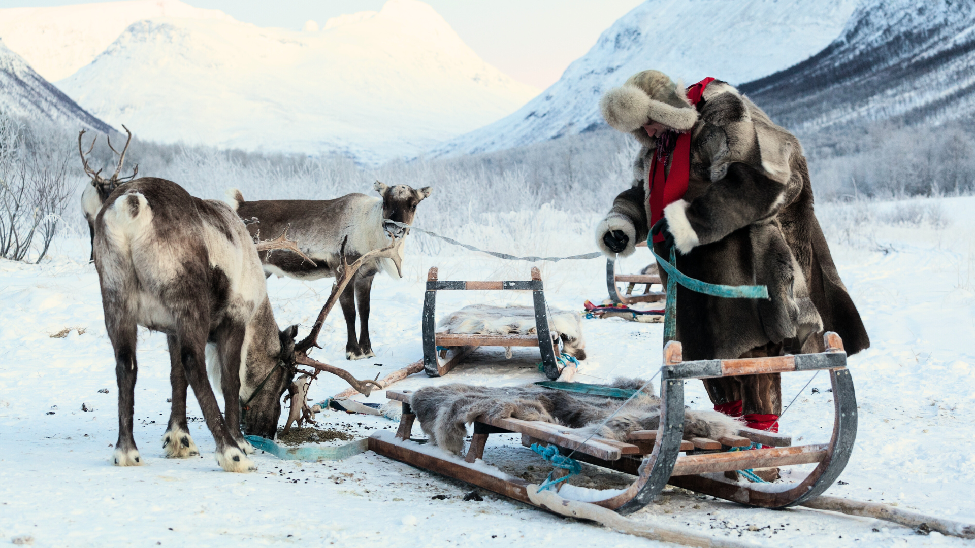 Aanbieding Nuorgam Lodge