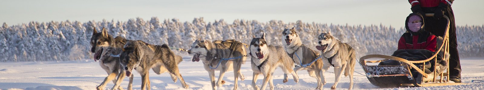 Aanbiedingen Lapland: reizen in de winter