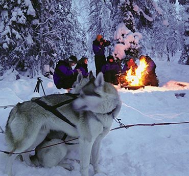 veelgestelde vragen lapland