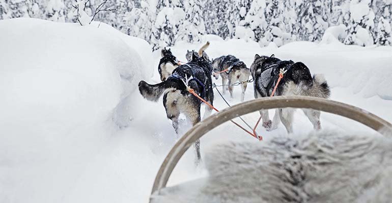 met korting naar salla in lapland