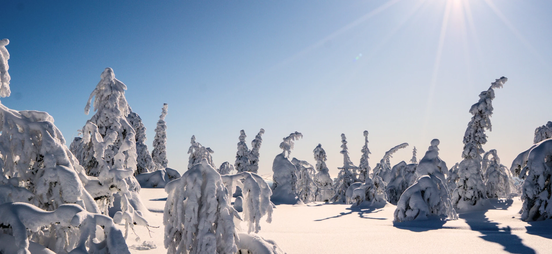 Veelgestelde vragen Lapland