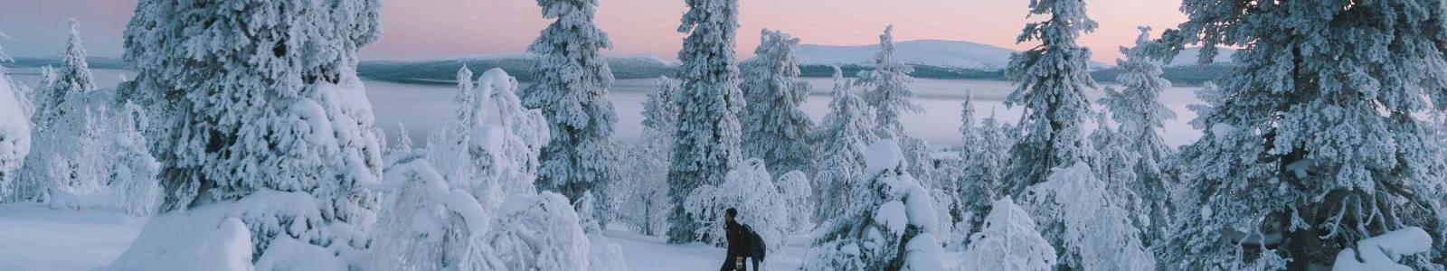 Veilig reizen naar Lapland in coronatijd