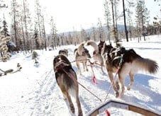 Actief - Boordevol activiteiten