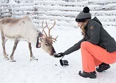 Shortbreaks - In 4 of 5 dagen een complete Lapland ervaring